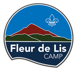 Fleur de Lis Camp logo